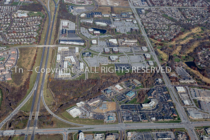 P-Tn20314-D4238 copy